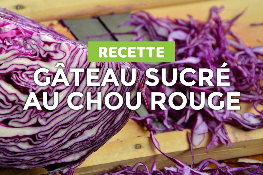 Recette_gateau_sucre_FizzUp_au_chou_rouge_cover_Blog
