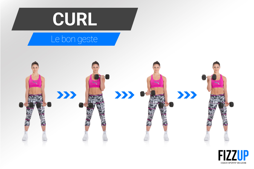 curl biceps cover