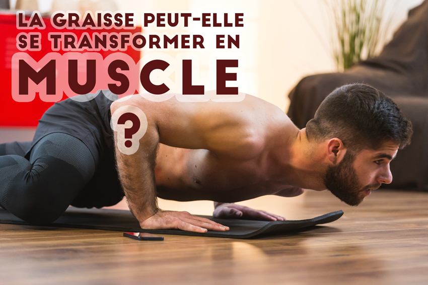 la_graisse_peut_elle_se_transformer_en_muscle_cover_blog