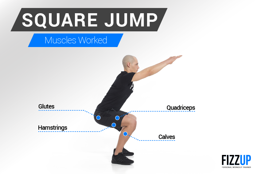 Build Your Thigh Muscles with the Square Jump FizzUp