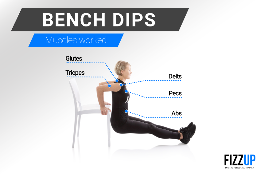 EquipmentFree Dips to Build Your Triceps FizzUp