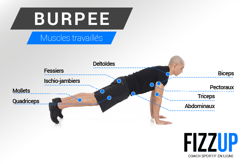 Le Burpee, exercice de musculation ultra complet FizzUp