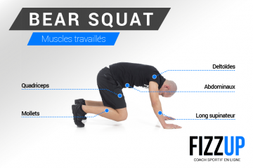 bearsquat-muscles