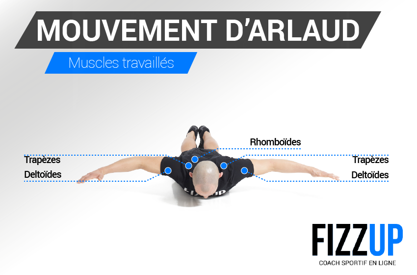 Muscler Son Dos Avec Le Mouvement D Arlaud Fizzup