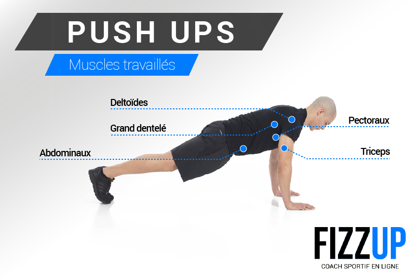 Comment faire des pompes parfaites et efficaces FizzUp