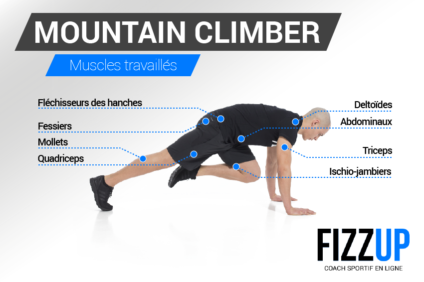 mountain climber les muscles sollicités