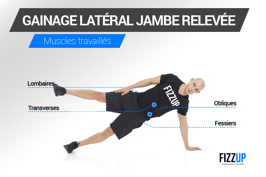 gainage lateral jambe relevee muscles