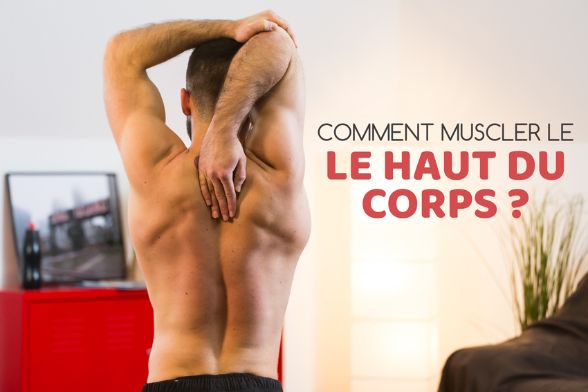 Muscler le haut du corps femme