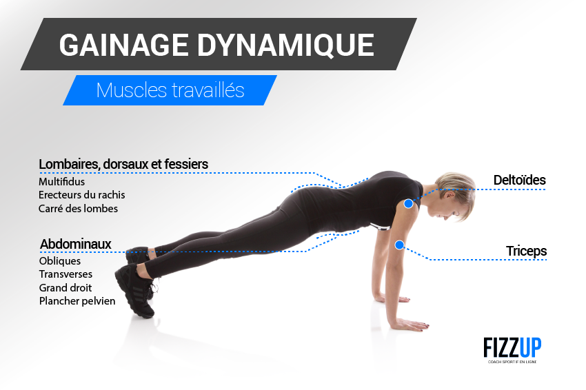 Passez à la vitesse supérieure avec le gainage dynamique !  FizzUp