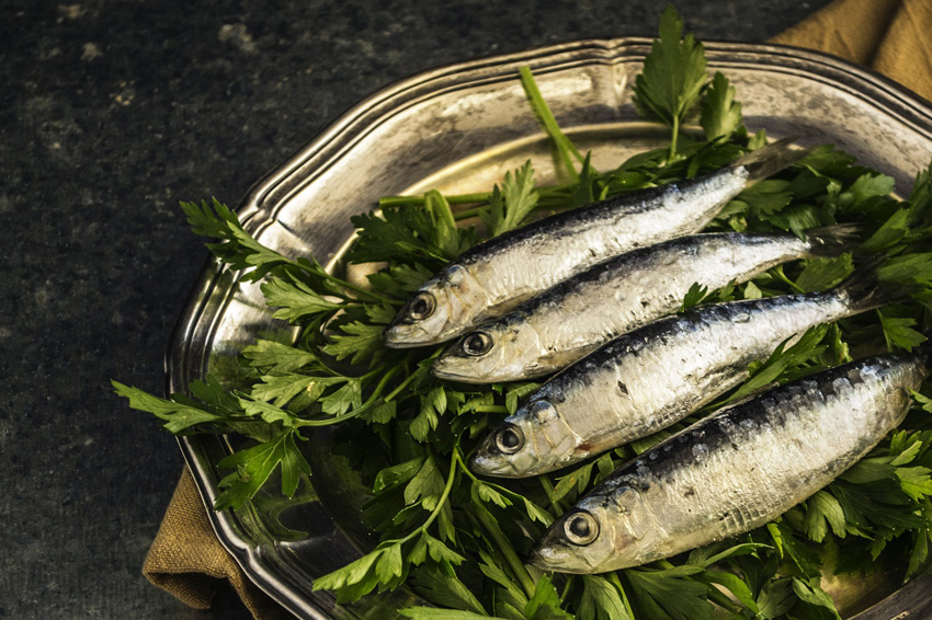 3 recettes à base de sardine FizzUp