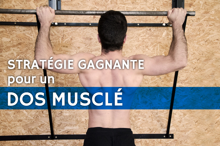 Stratégie gagnante pour un dos musclé | FizzUp Stratégie gagnante pour un dos musclé | FizzUp