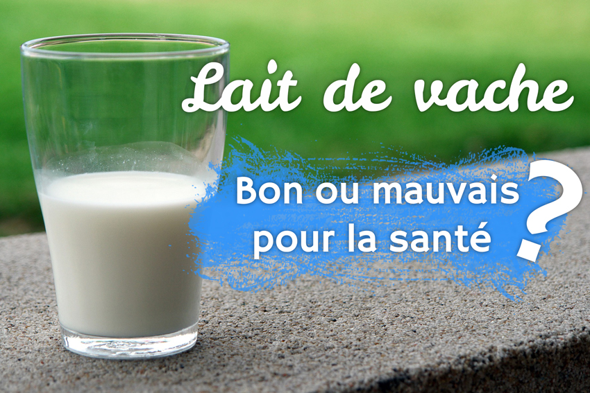 Lait De Vache Bon Ou Mauvais Pour La Sante Fizzup