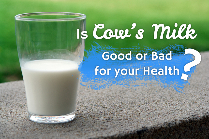 Is Cow’s Milk Good or Bad for Your Health? FizzUp