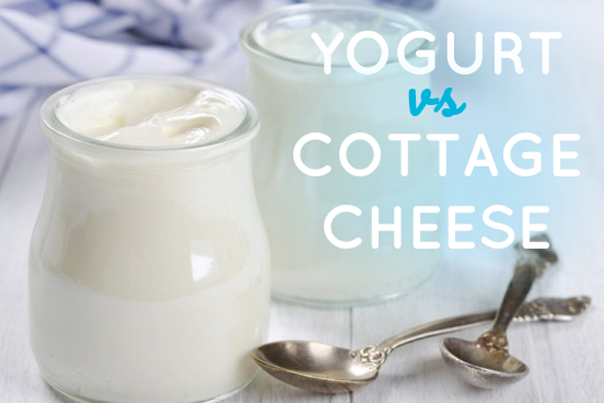 Yogurt vs Cottage Cheese FizzUp