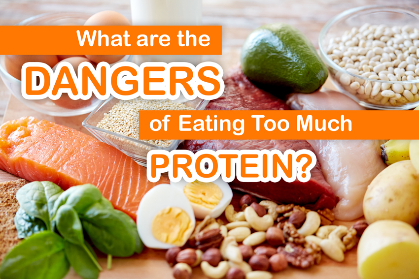What Are The Dangers Of Eating Too Much Protein FizzUp what-are-the-dangers-of-eating-too-much-protein-fizzup
